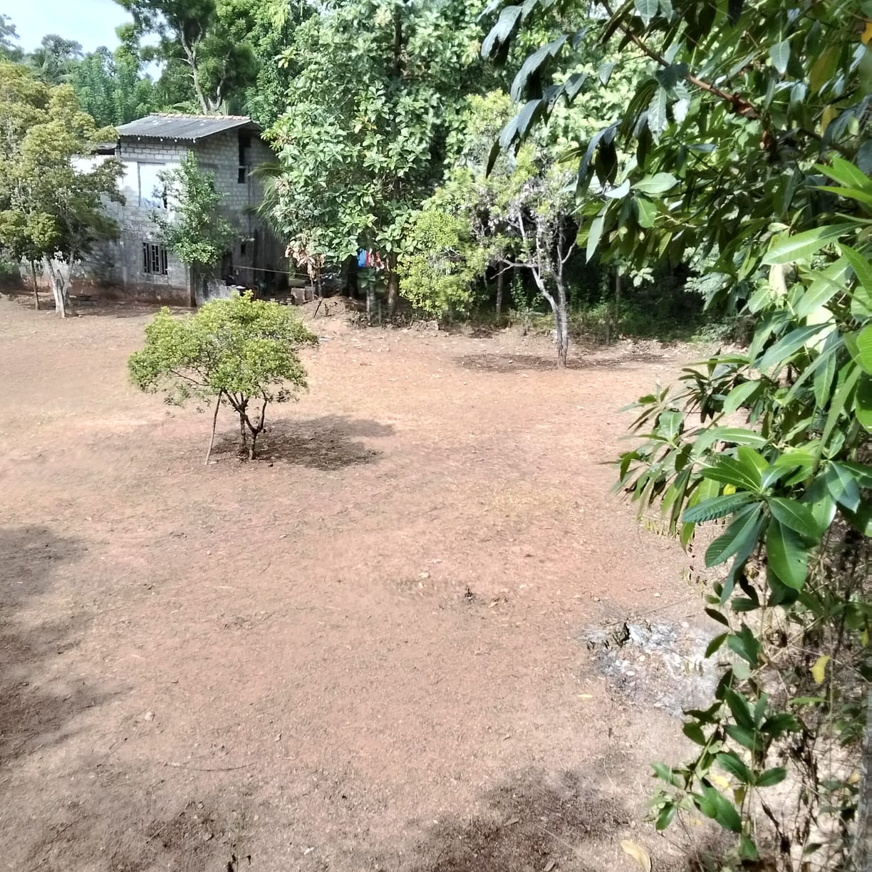 Land for Sale in Kadawatha 80 Perches