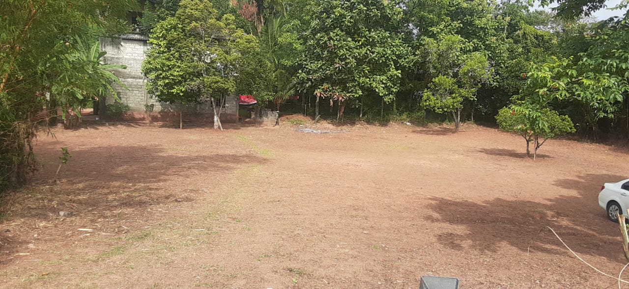 Land for Sale in Kadawatha 80 Perches