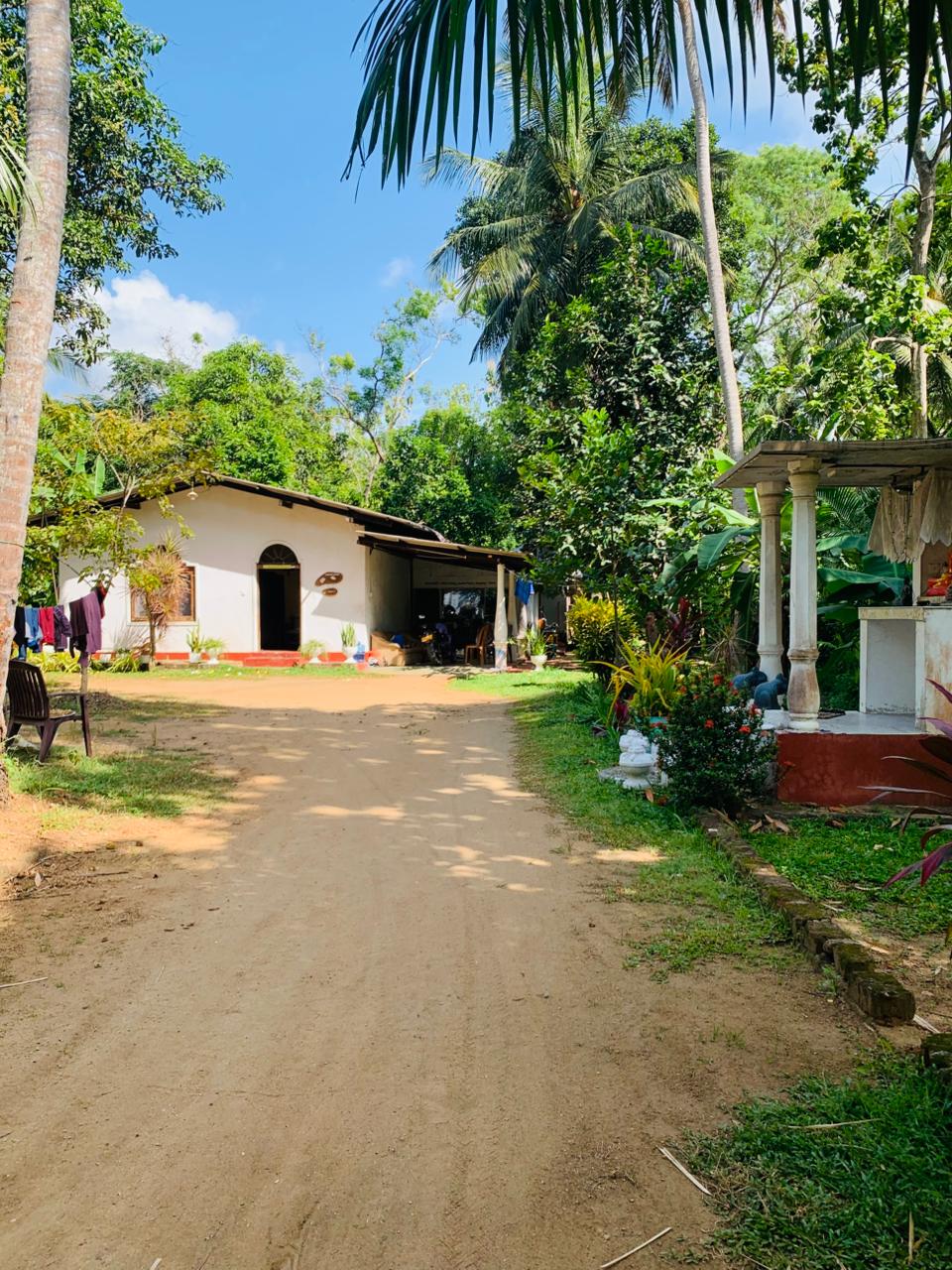 Land with House for Sale Anuradhapura