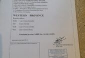 20 Perches Land For Sale Athurugiriya