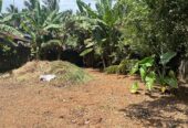 Land for Sale in Weliweriya Gampaha