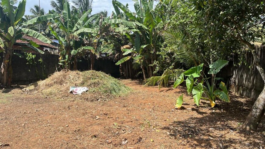 Land for Sale in Weliweriya Gampaha