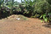 Land for Sale in Weliweriya Gampaha