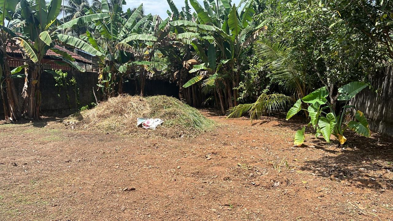 Land for Sale in Weliweriya Gampaha