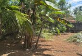 Land for Sale in Weliweriya Gampaha