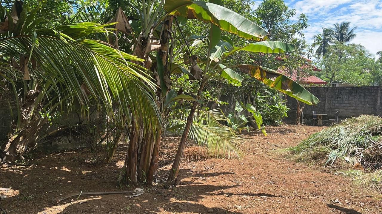 Land for Sale in Weliweriya Gampaha