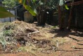 Land for Sale in Weliweriya Gampaha