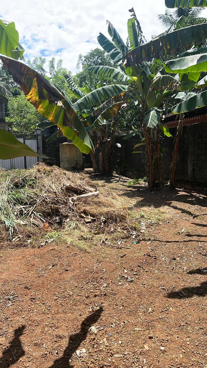 Land for Sale in Weliweriya Gampaha