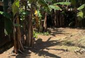 Land for Sale in Weliweriya Gampaha