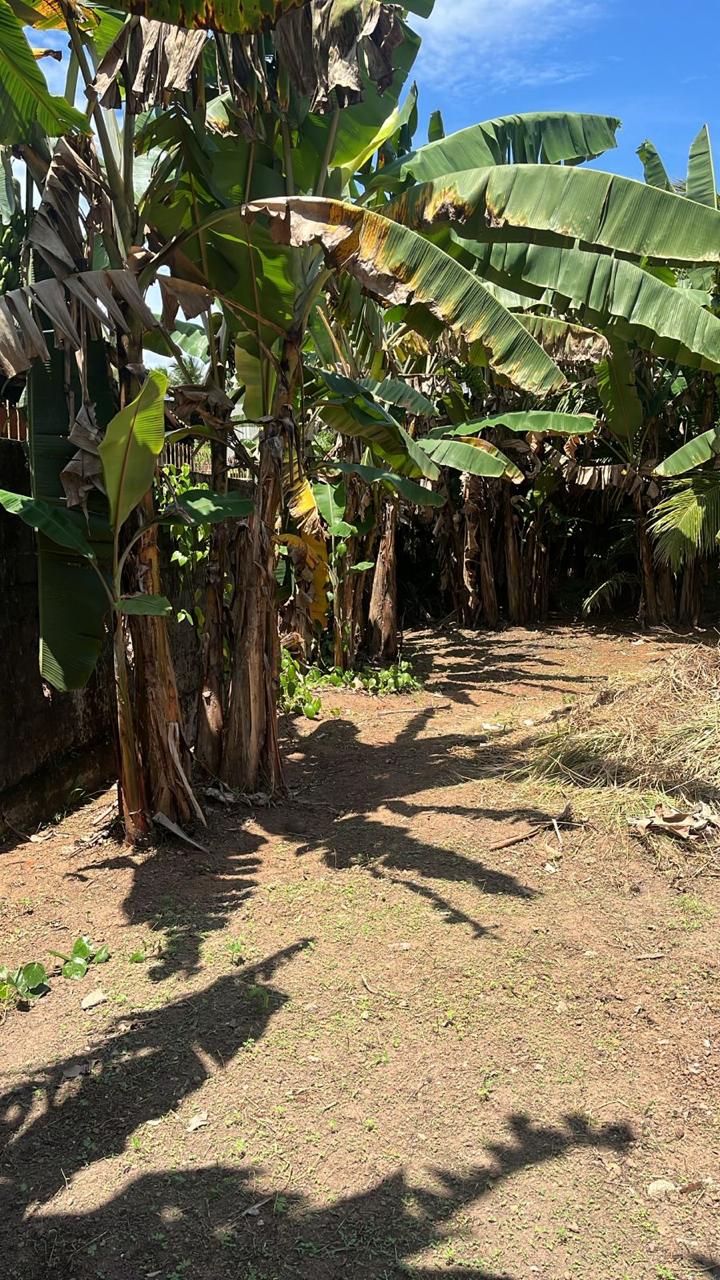 Land for Sale in Weliweriya Gampaha