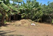 Land for Sale in Weliweriya Gampaha