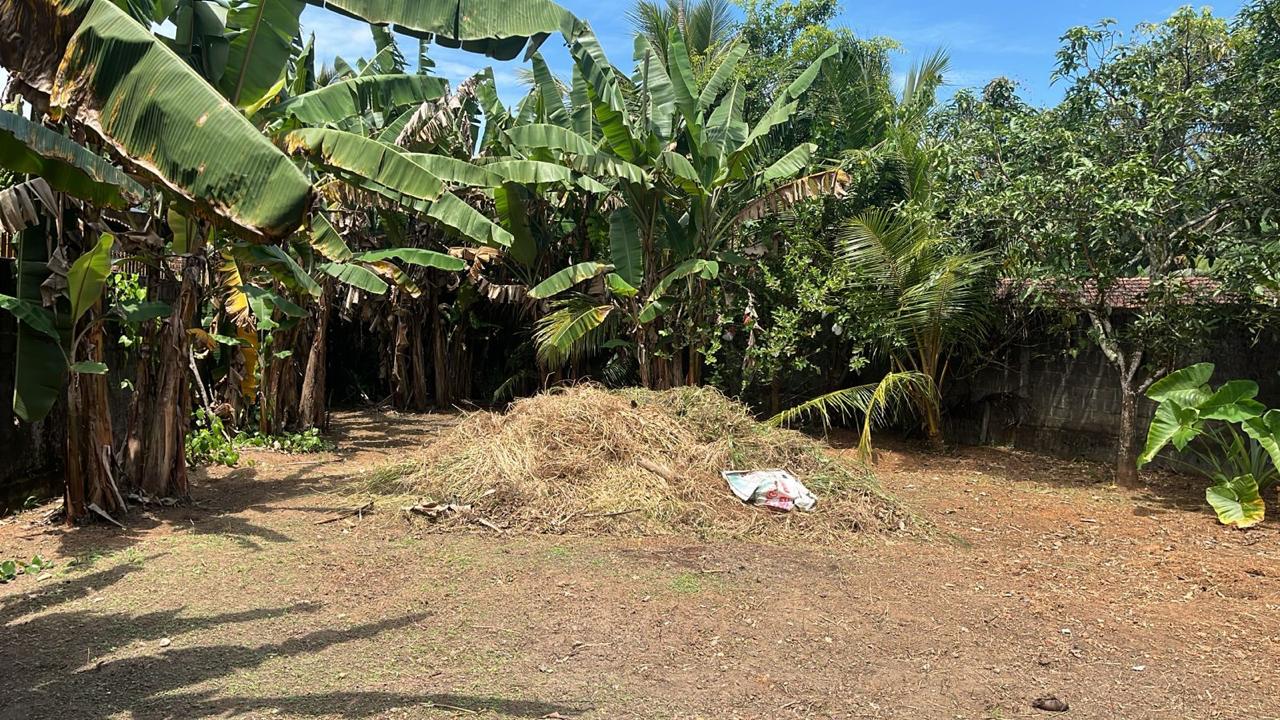 Land for Sale in Weliweriya Gampaha