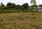 Land for Sale in Puttalam