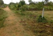 Land for Sale in Puttalam
