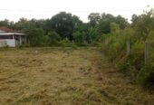 Land for Sale in Puttalam