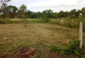 Land for Sale in Puttalam
