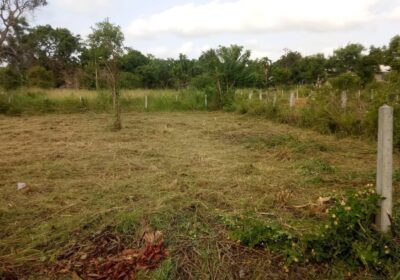 Land for Sale in Puttalam