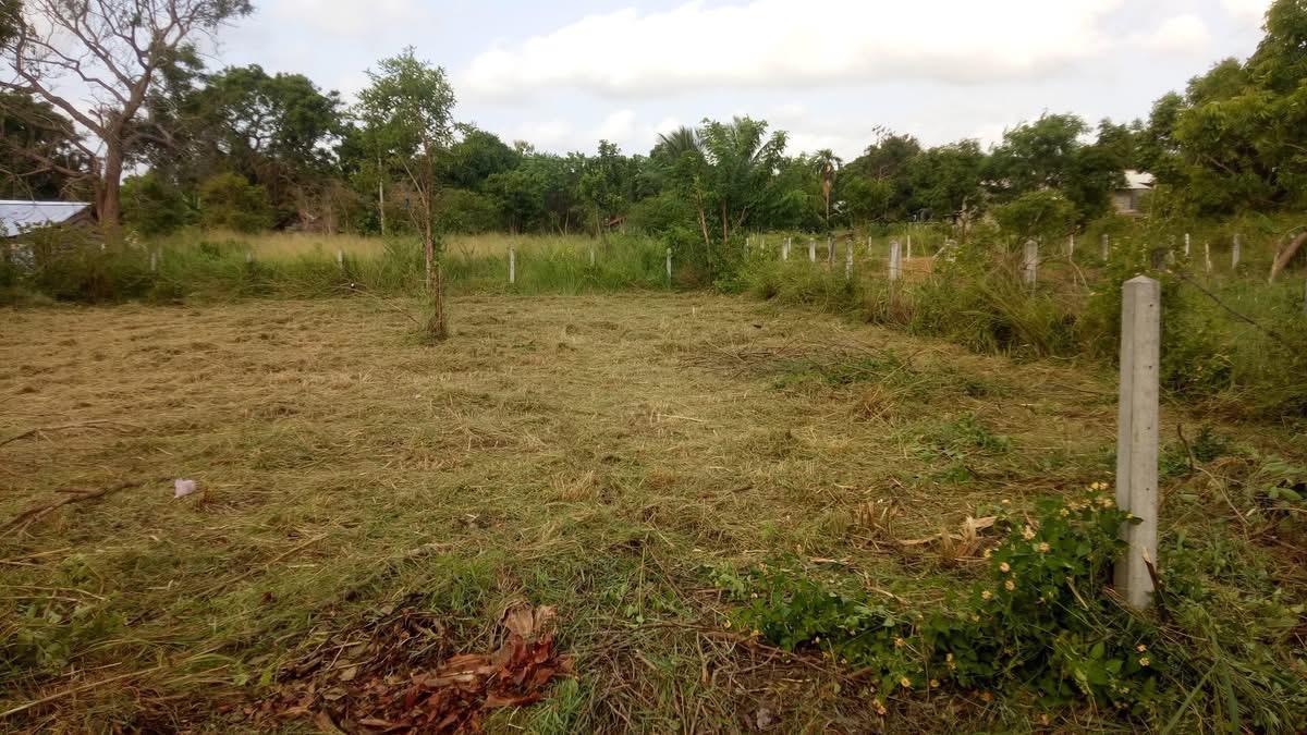 Land for Sale in Puttalam