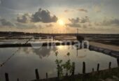 Saltern Land in Puttalam for Sale