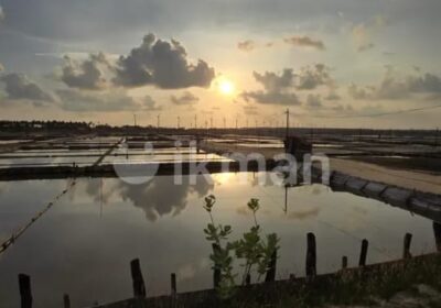 Saltern Land in Puttalam for Sale