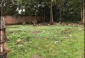 Land for Sale in Beliatta Town