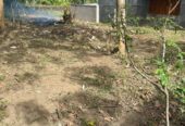 Land for Sale in Beliatta Town