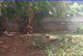 Prime Commercial Land for Sale – Perche