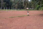 Land Sale Nittabuwa Panawala 12.5 P