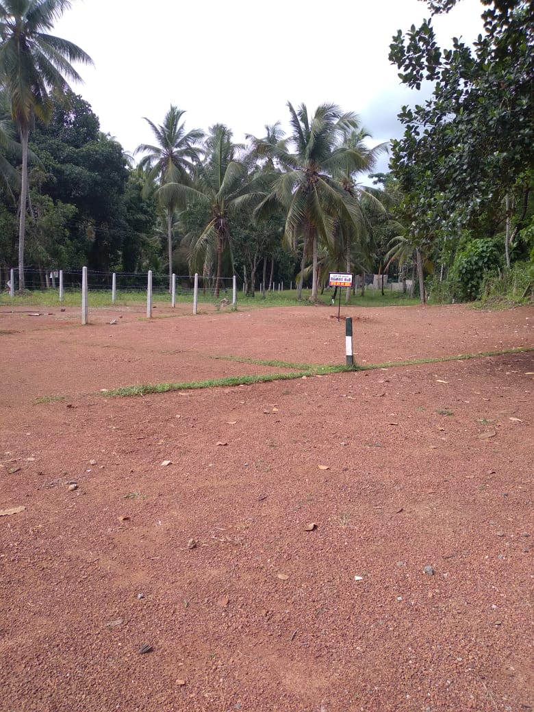 Land Sale Nittabuwa Panawala 12.5 P