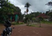 Land Sale Nittabuwa Panawala 12.5 P