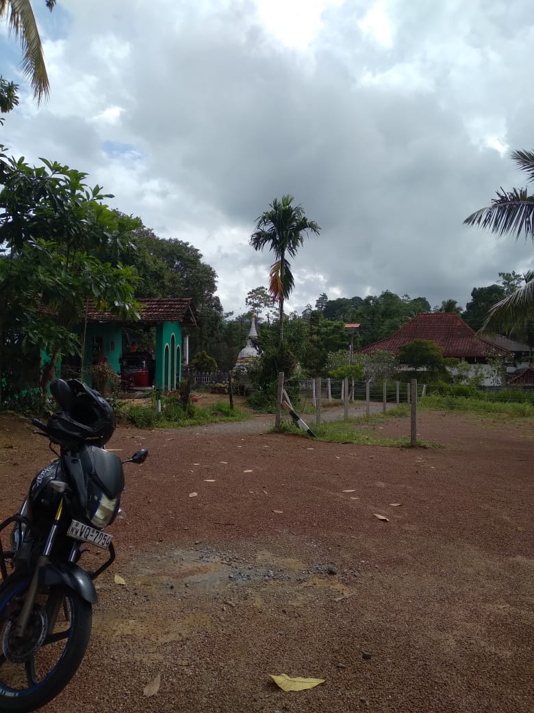 Land Sale Nittabuwa Panawala 12.5 P