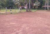 Land Sale Nittabuwa Panawala 12.5 P