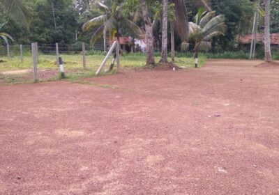 Land Sale Nittabuwa Panawala 12.5 P
