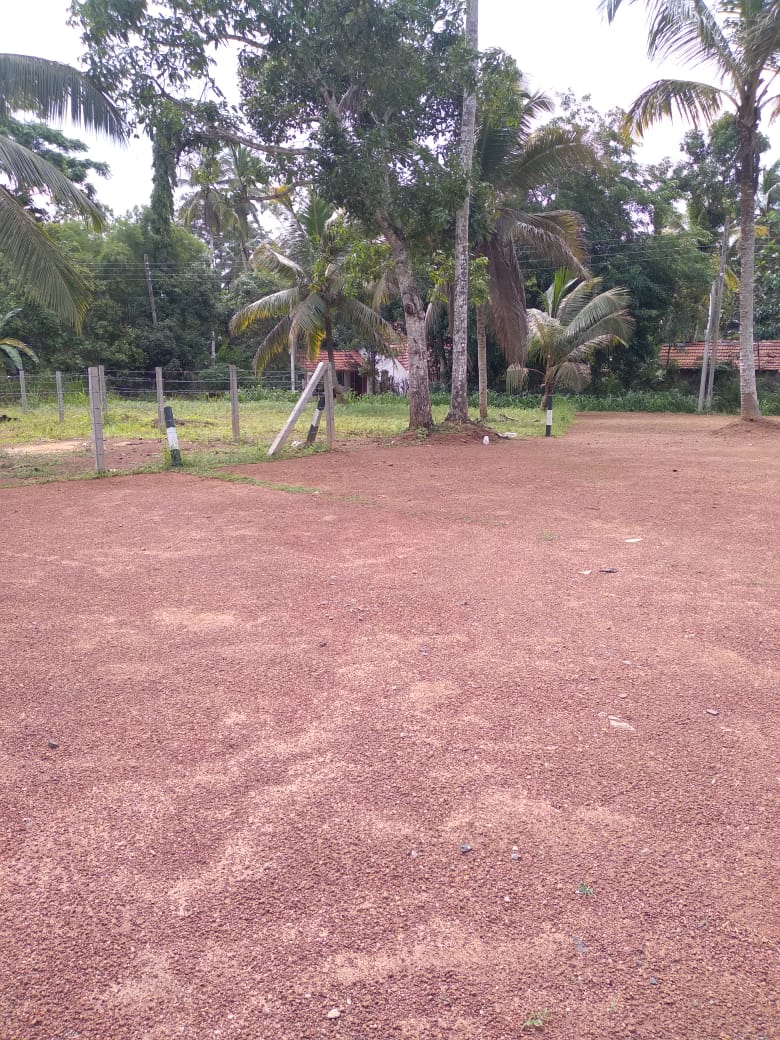 Land Sale Nittabuwa Panawala 12.5 P