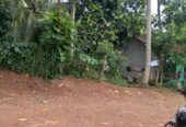 Land Sale Nittabuwa Panawala 12.5 P