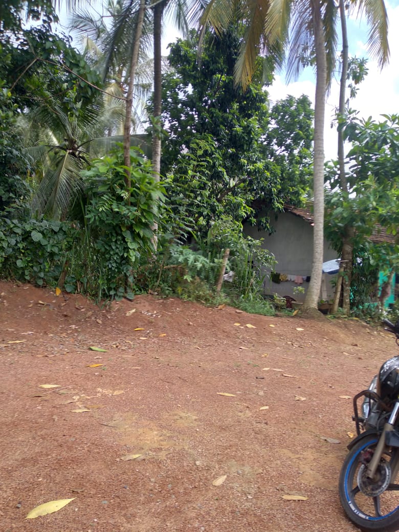 Land Sale Nittabuwa Panawala 12.5 P