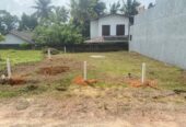 Land for Sale Welipillawa