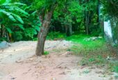 Land for Sale in Kandana