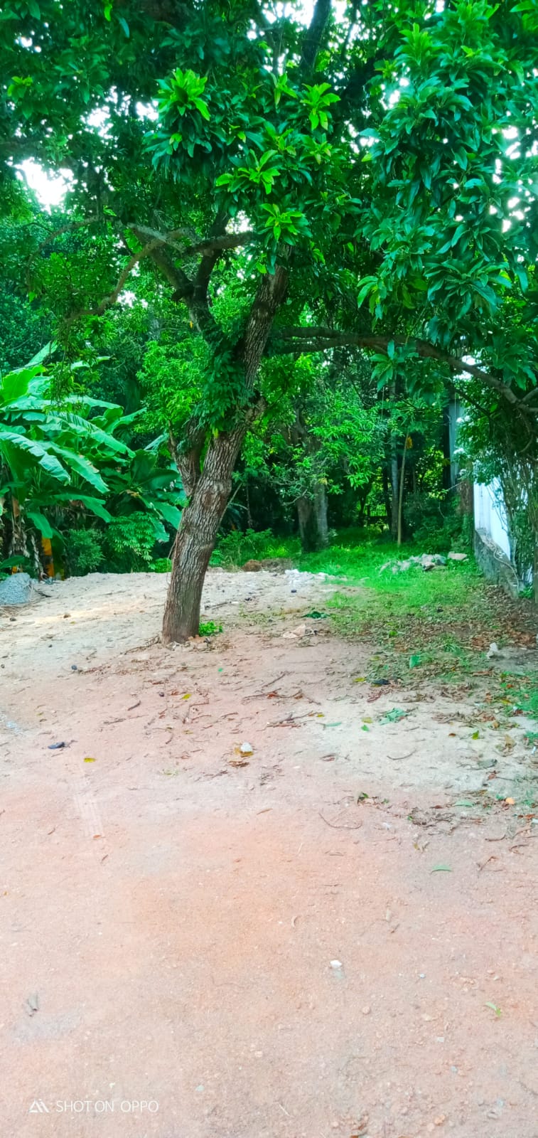 Land for Sale in Kandana