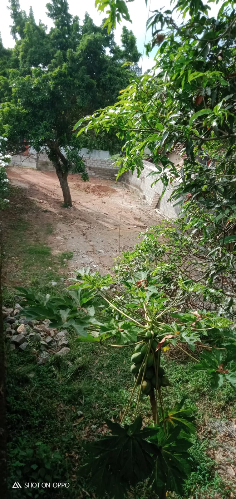 Land for Sale in Kandana