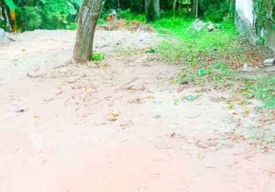 Land for Sale in Kandana