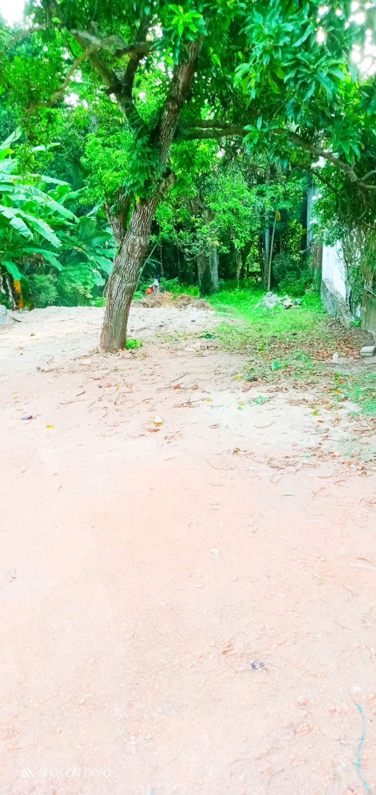 Land for Sale in Kandana