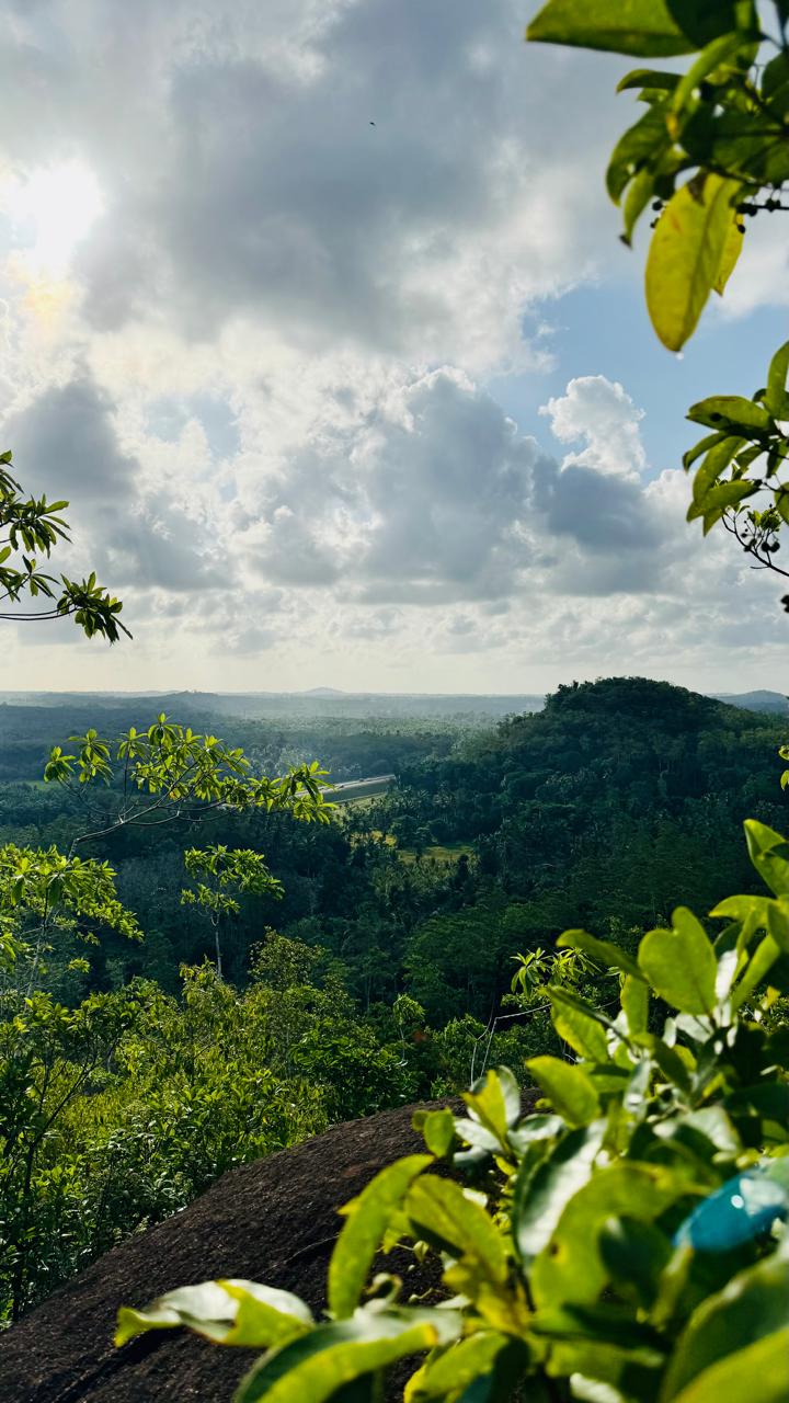 10.75 Acre Land with Rubber Plantation near Welipenna Interchange