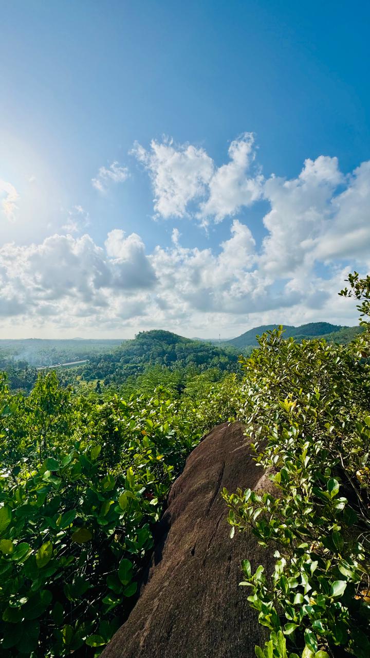 10.75 Acre Land with Rubber Plantation near Welipenna Interchange