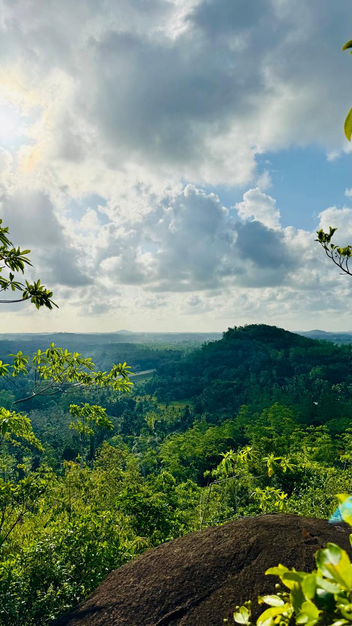 10.75 Acre Land with Rubber Plantation near Welipenna Interchange