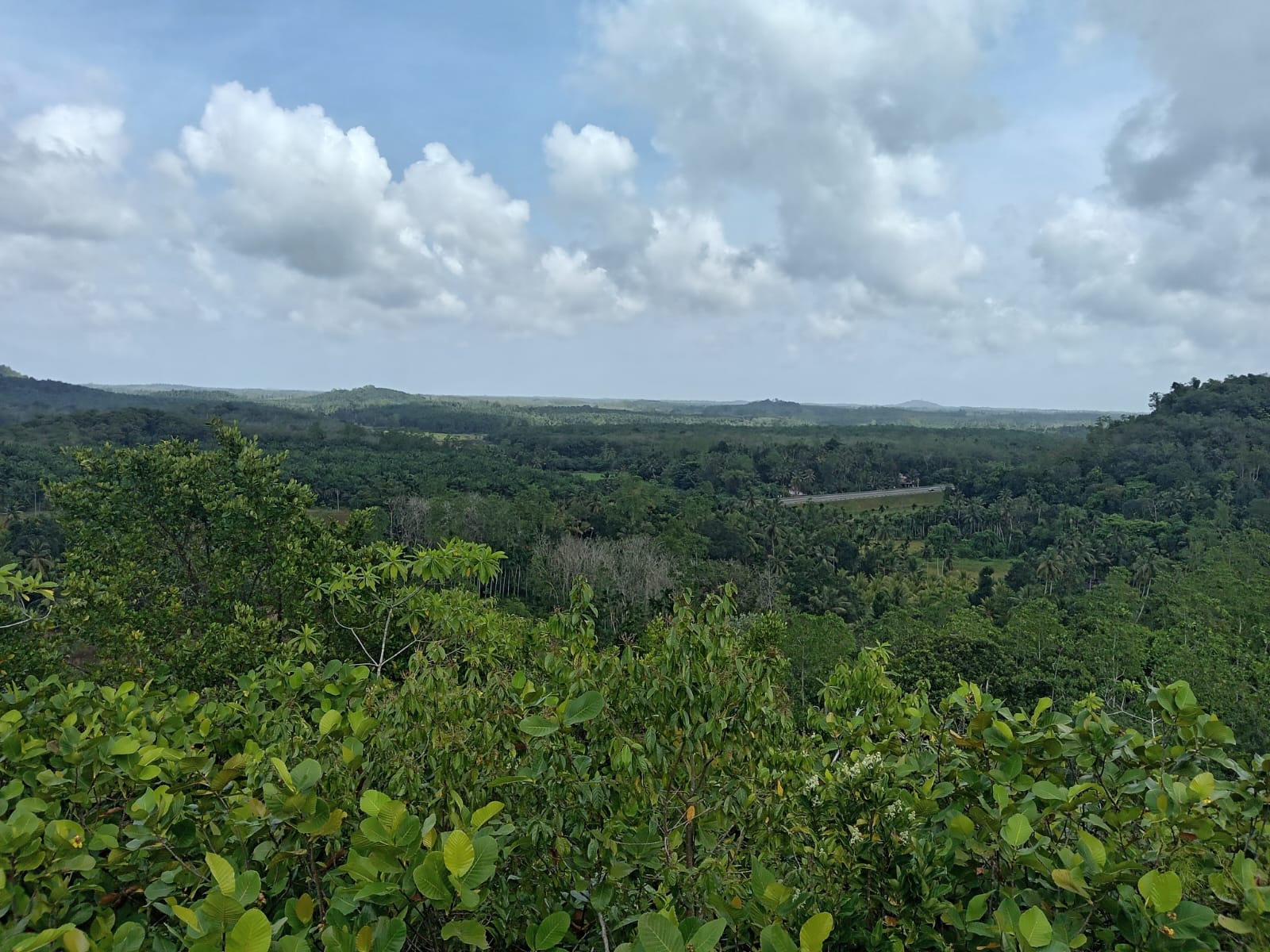 10.75 Acre Land with Rubber Plantation near Welipenna Interchange