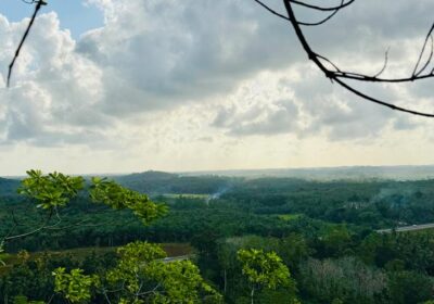 10.75 Acre Land with Rubber Plantation near Welipenna Interchange