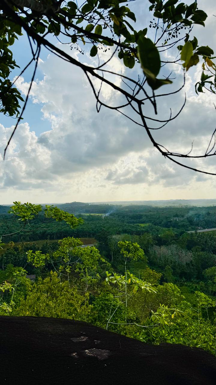 10.75 Acre Land with Rubber Plantation near Welipenna Interchange