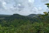 10.75 Acre Land with Rubber Plantation near Welipenna Interchange