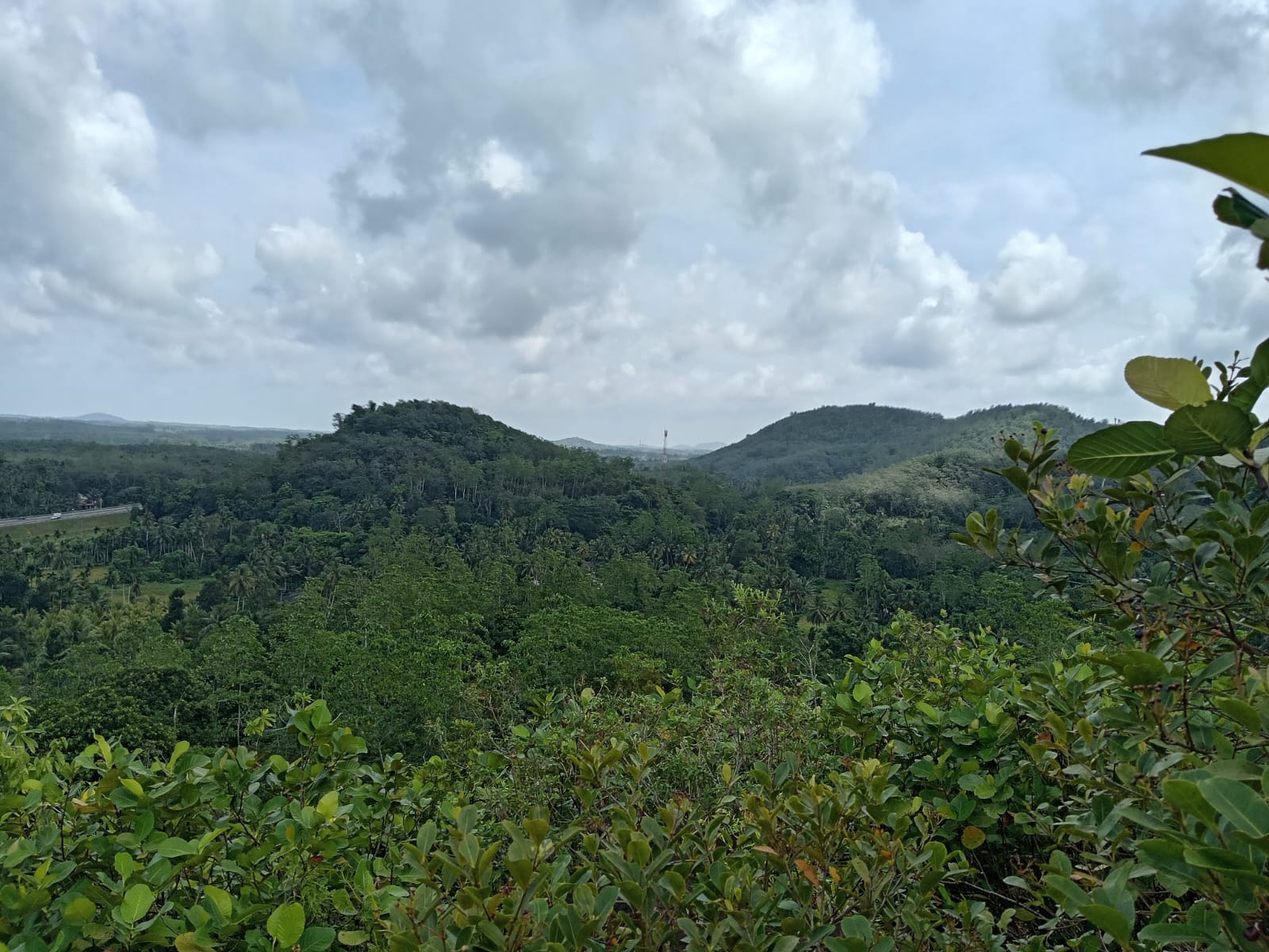 10.75 Acre Land with Rubber Plantation near Welipenna Interchange